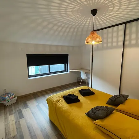شقة Loft